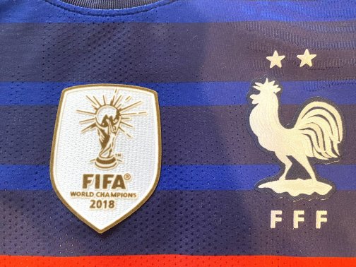 Maillot Nike Authentique Vapor France FFF Benzema 19 Home 2020/2021Taille M