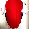 Maillot Adidas Arsenal Authentic HEAT RDY Home 2024/2025 Taille M